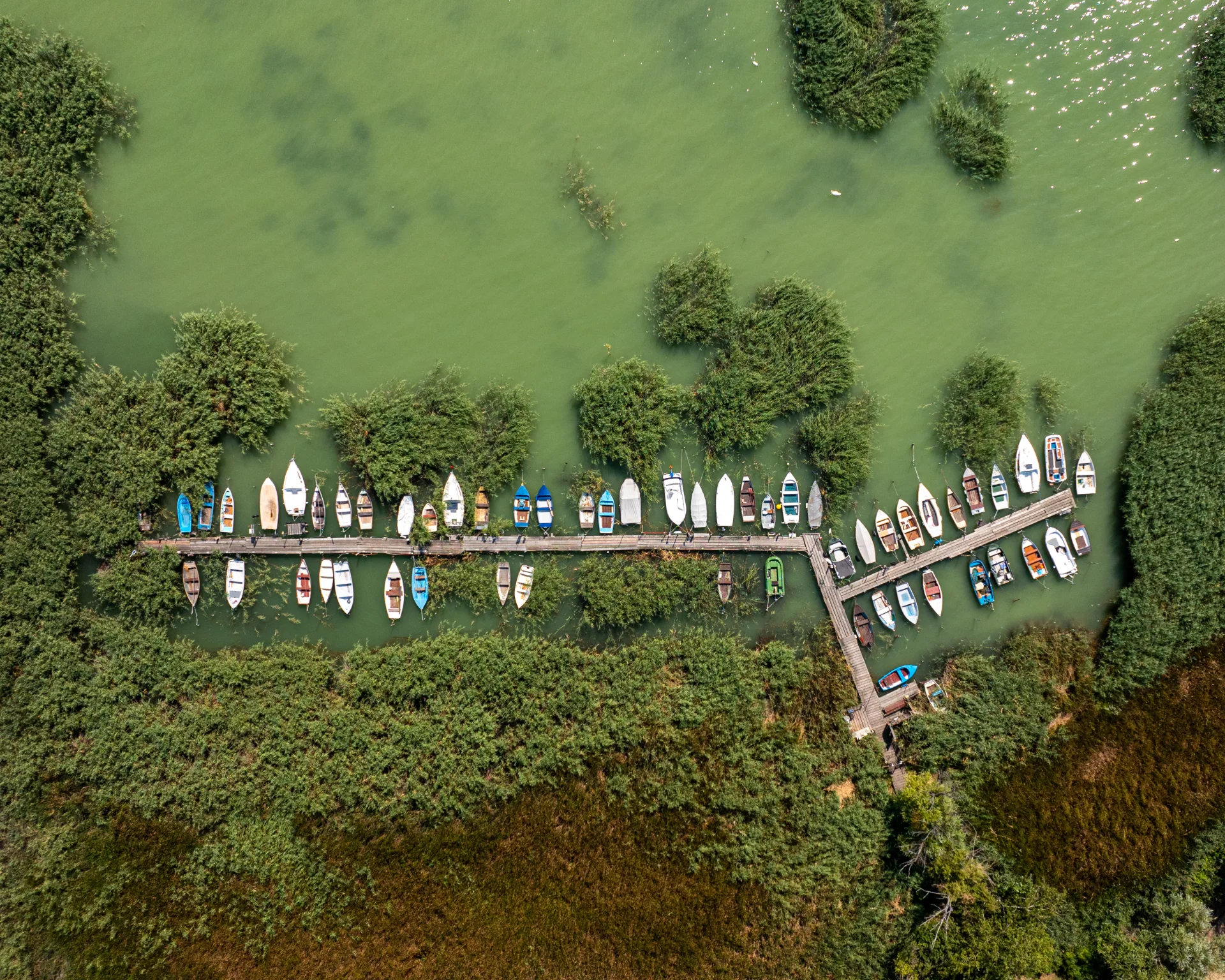 DJI_20240814114847_0041_D-1