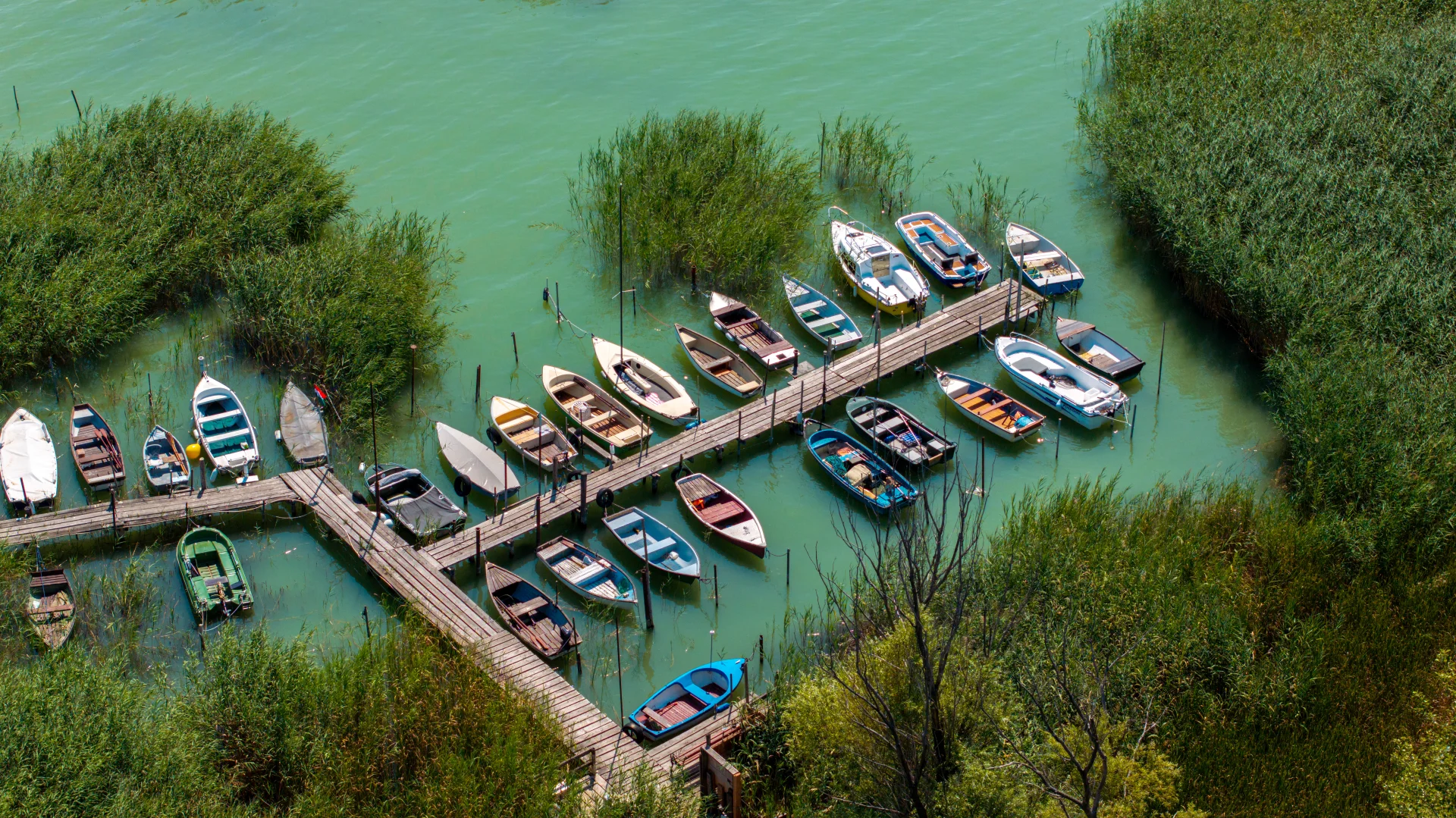 DJI_20240814115223_0052_D-1