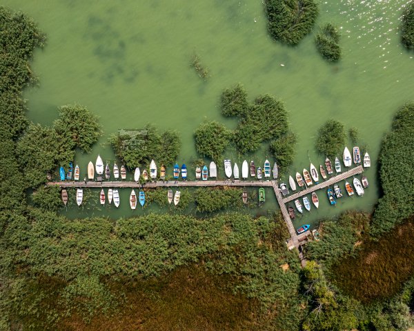 DJI_20240814114847_0041_D-1