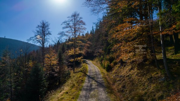 Droga ze Śnieżnika